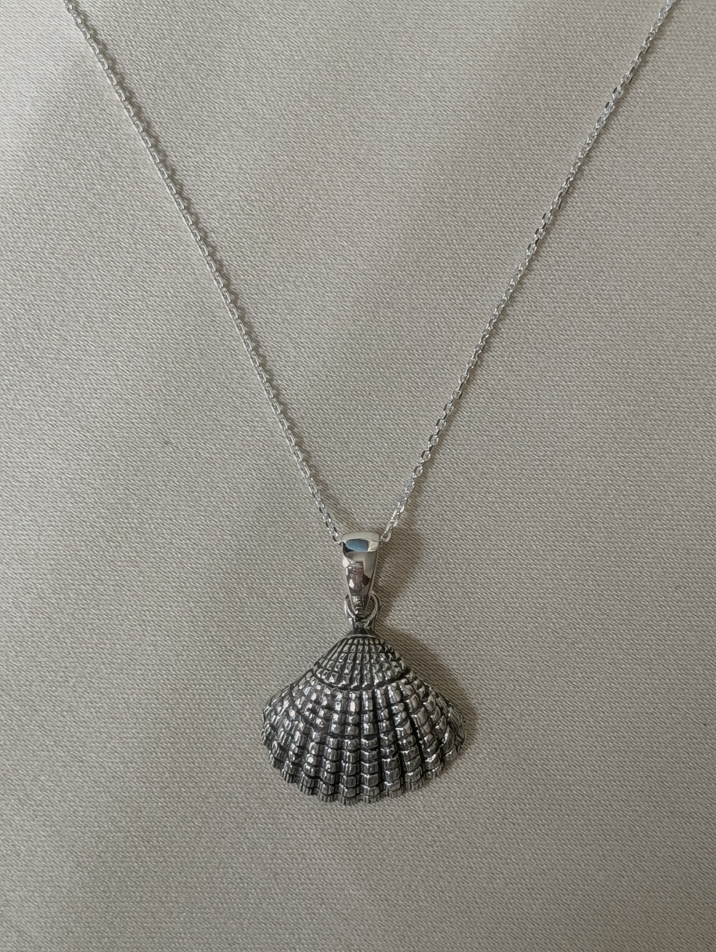 Shell Pendant