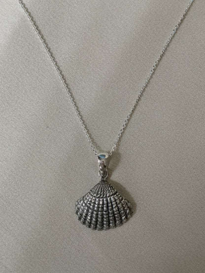 Shell Pendant
