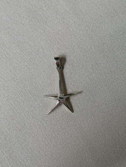 Star Fish Pendant