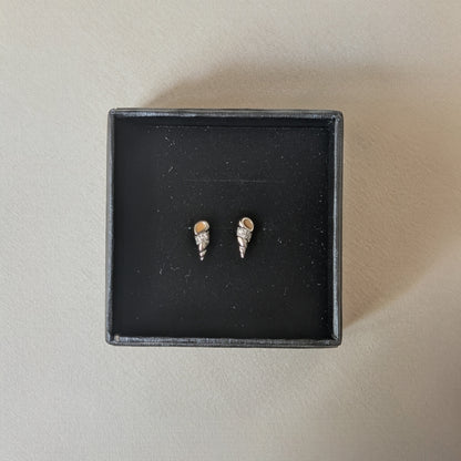 Sea Life Studs