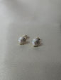 Shell Studs