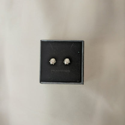 Shell Studs