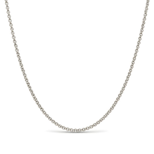 A delicate silver chain necklace with a classic cable link design.